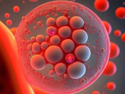 ღეროვანი უჯრედი