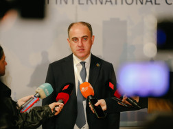 დავით ნარმანია დავით ნარმანია
