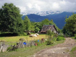სოფელი სოფელი
