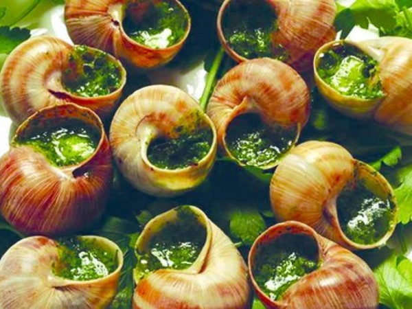 ლოკოკინა