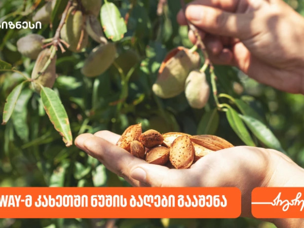  კომპანია Farmway-მ კახეთში ნუშის ბაღები გააშენა - მხარდამჭერი საქართველოს ბანკია
