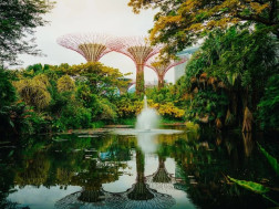 მწვანე ქალაქი