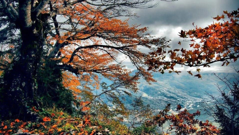 ამინდი